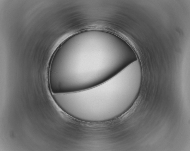 X0000113741434200909230937