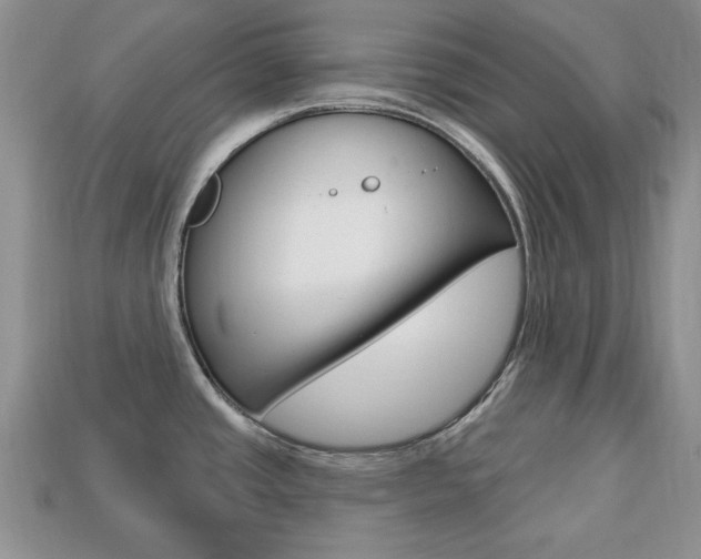 X0000113741437200909230937