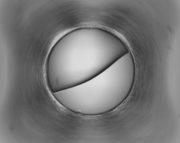 X0000113741440200909230937