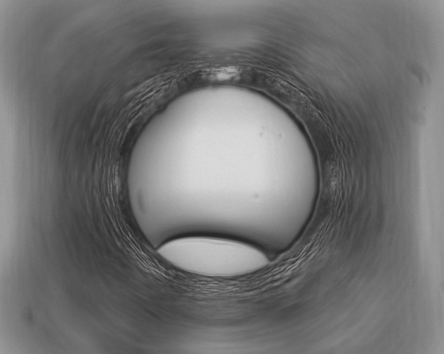 X0000113741442200909230936