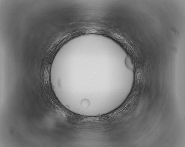 X0000113741446200909230936