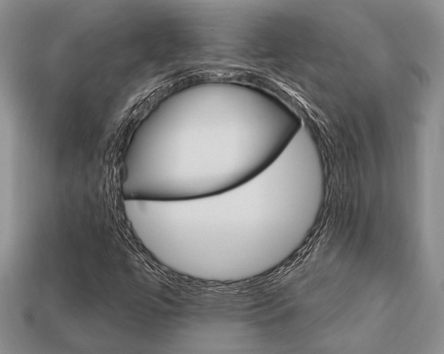 X0000113741447200909230936