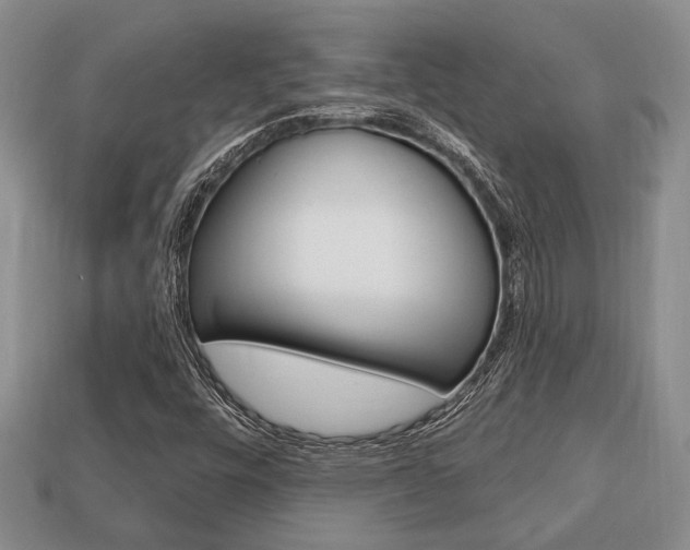 X0000113741448200909230936