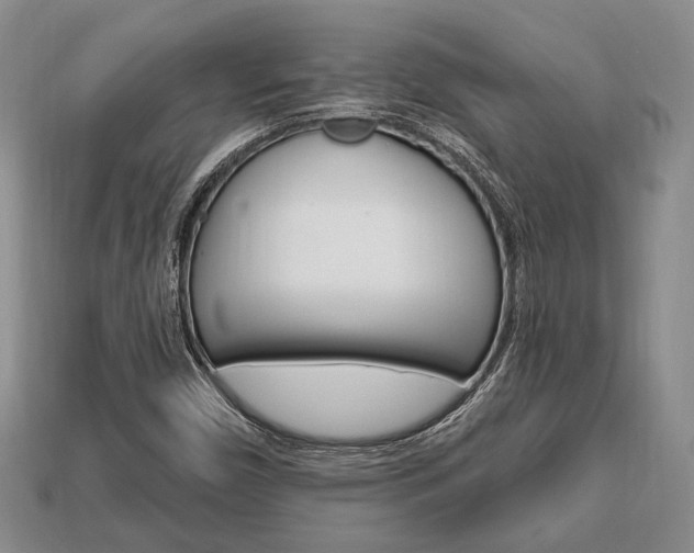 X0000113741450200909230936