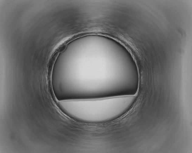 X0000113741452200909230936