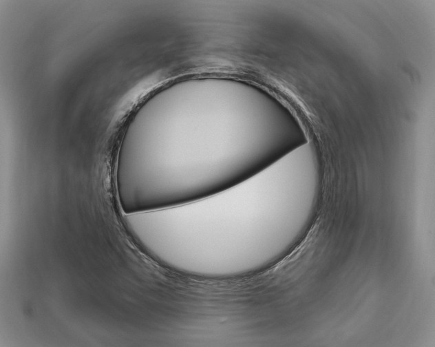 X0000113741455200909230936