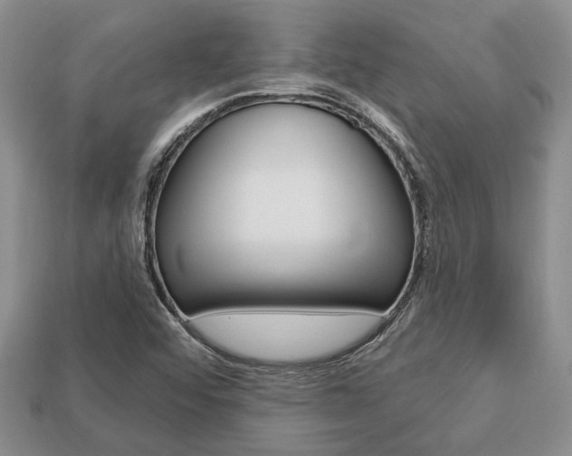 X0000113741456200909230936