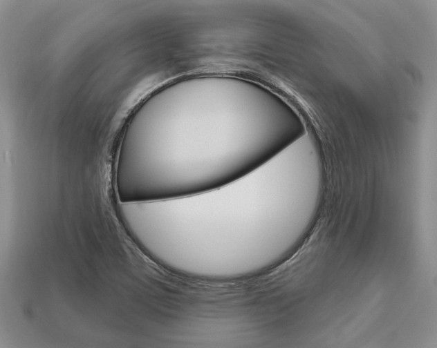 X0000113741459200909230936