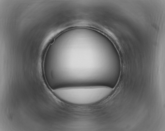 X0000113741464200909230936