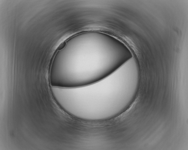 X0000113741465200909230936