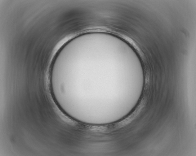 X0000113741466200909230936