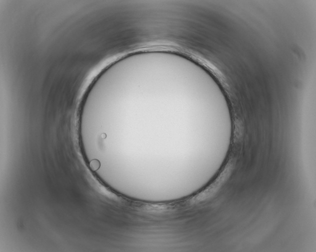 X0000113741470200909230936
