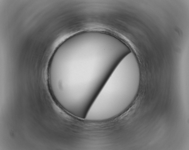 X0000113741471200909230936