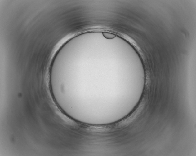 X0000113741474200909230936