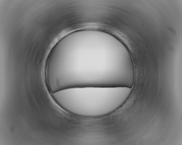 X0000113741475200909230936