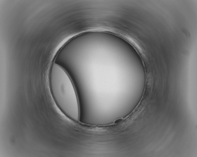 X0000113741476200909230936