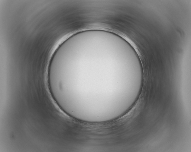 X0000113741477200909230936