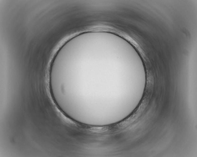 X0000113741478200909230936