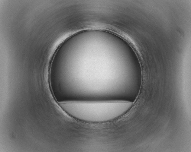 X0000113741480200909230936