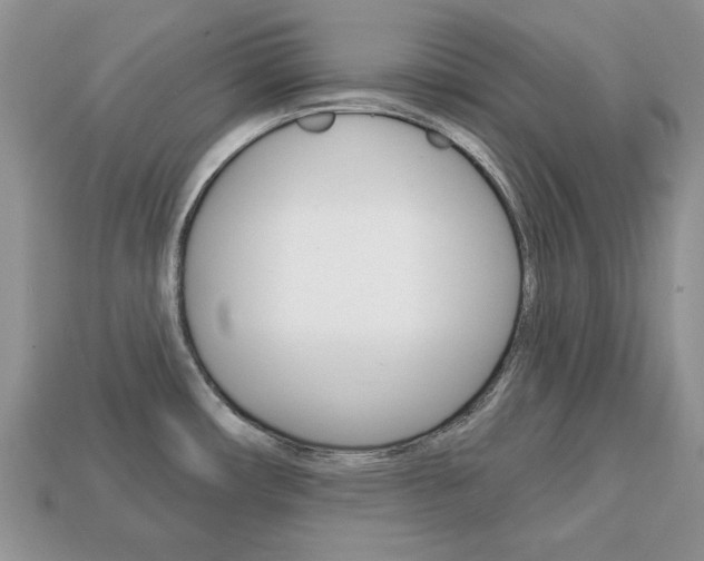 X0000113741482200909230936