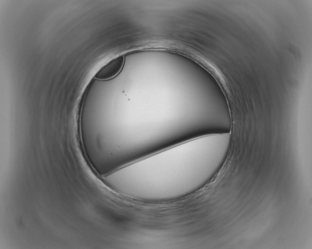 X0000113741483200909230936