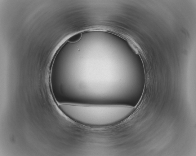 X0000113741484200909230936