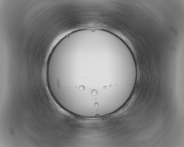 X0000113741486200909230936