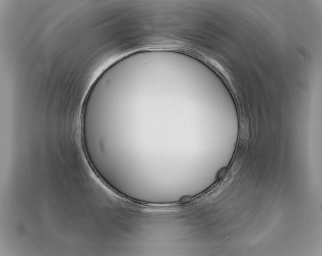 X0000113741487200909230936