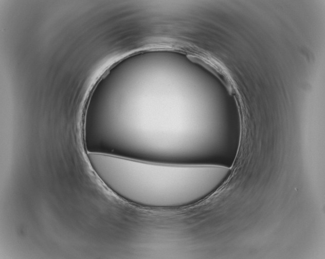 X0000113741488200909230936