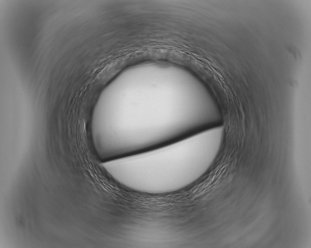 X0000113741489200909230935