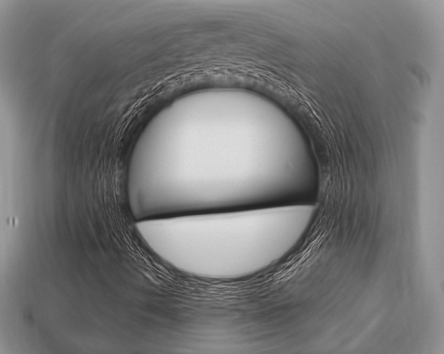 X0000113741490200909230935