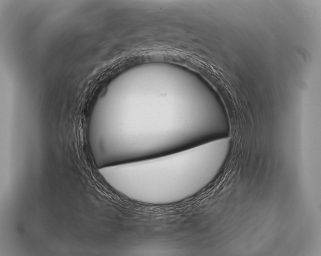 X0000113741493200909230935