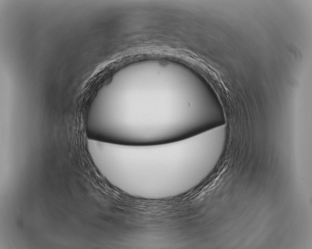 X0000113741494200909230935