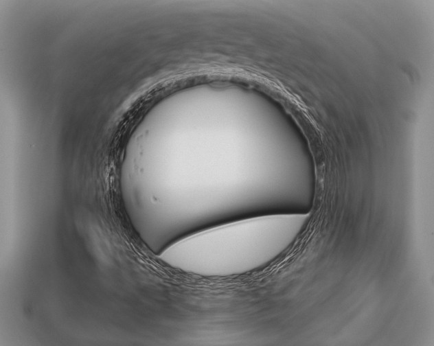 X0000113741495200909230935