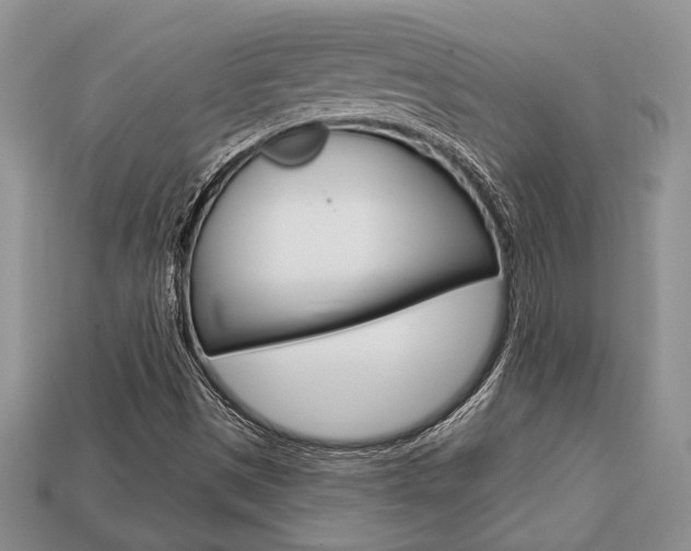 X0000113741497200909230935