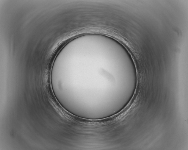 X0000113741499200909230935