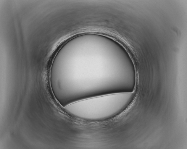 X0000113741501200909230935