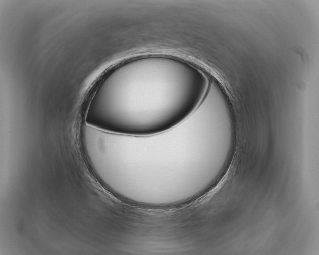 X0000113741502200909230935