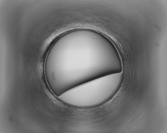 X0000113741503200909230935