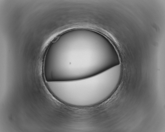 X0000113741504200909230935