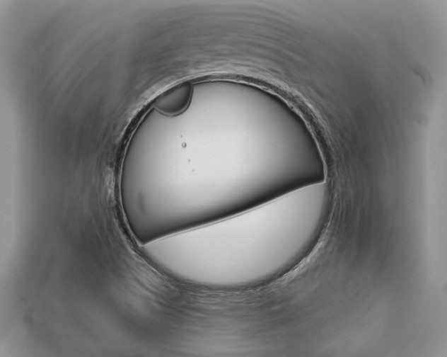 X0000113741505200909230935