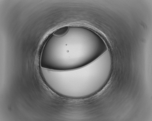 X0000113741506200909230935