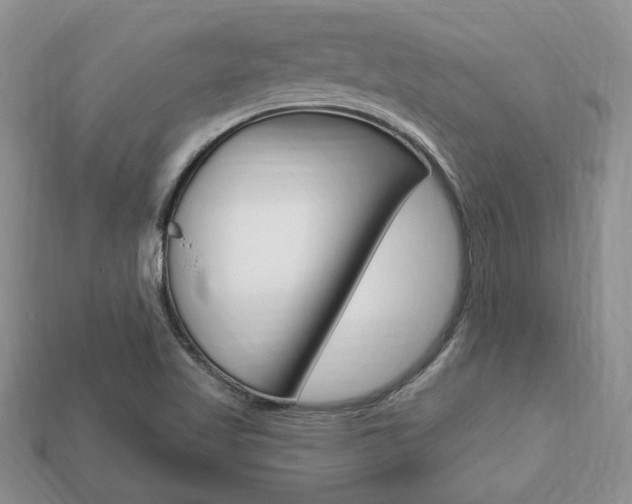 X0000113741509200909230935