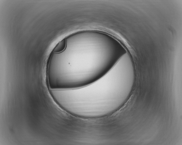 X0000113741512200909230935