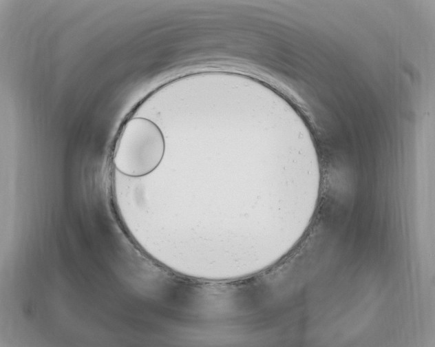 X0000113741514200909230935