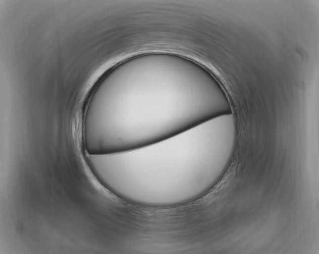X0000113741515200909230935