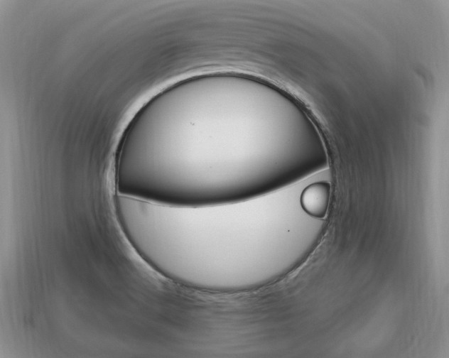 X0000113741516200909230935
