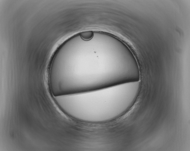 X0000113741517200909230935