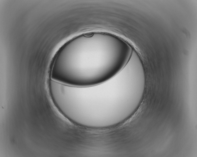 X0000113741518200909230935