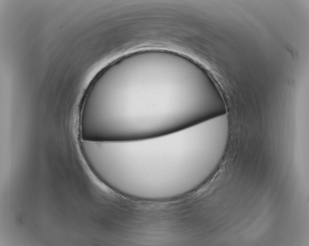 X0000113741519200909230935